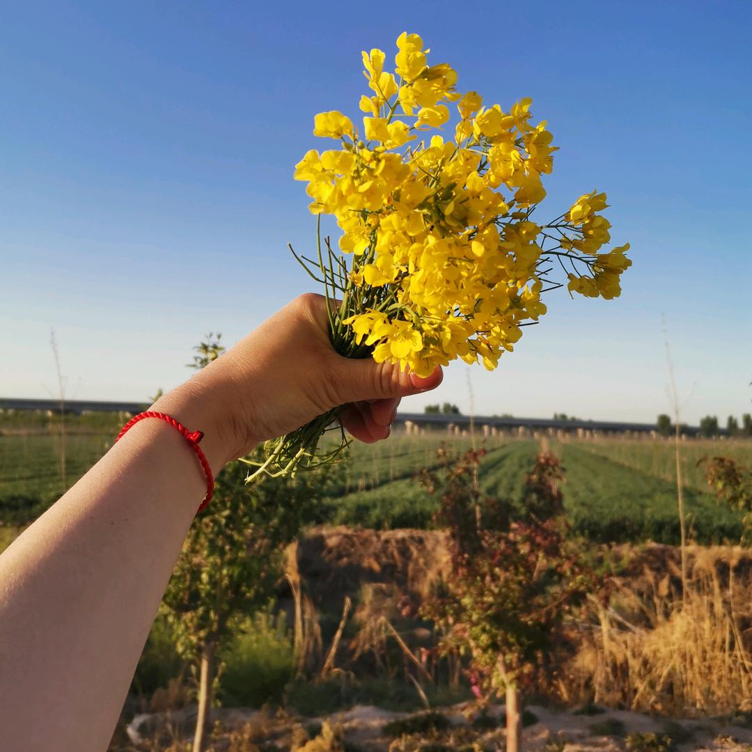 莹彩全屋定制家具工厂🏡欢☀八方来财☀