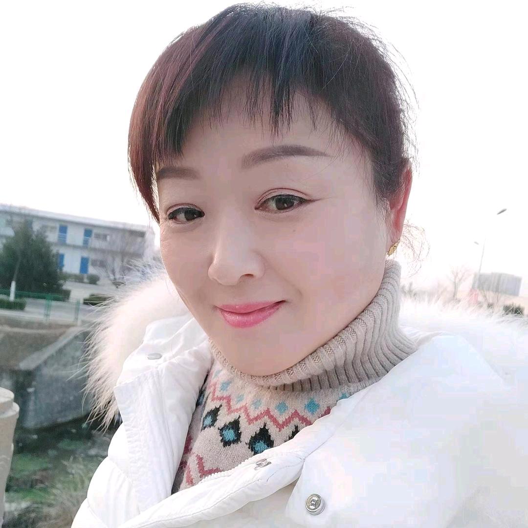 凤飞