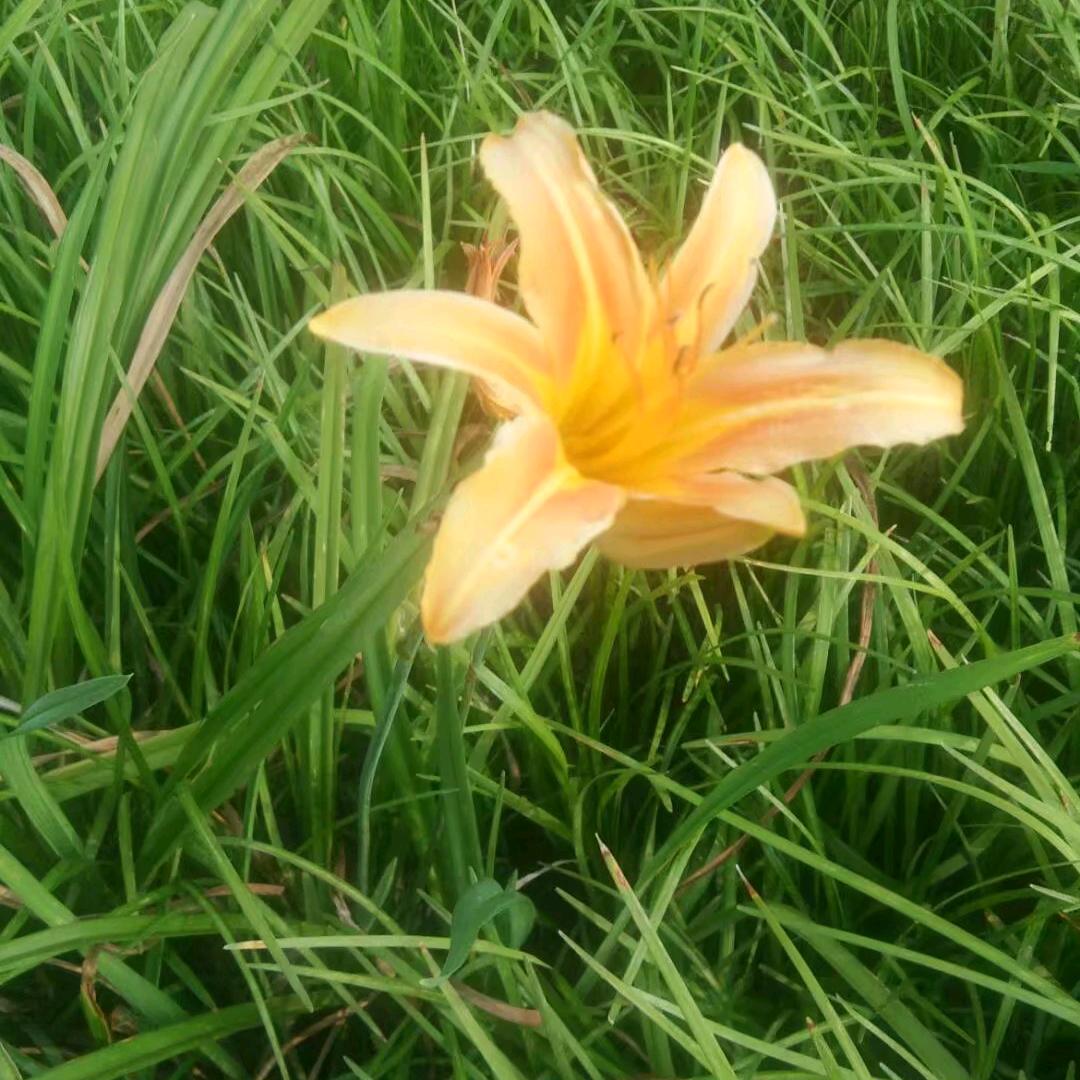 可甜可盐的小姐姐