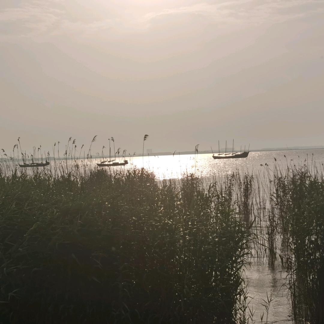 鸡同鸭讲