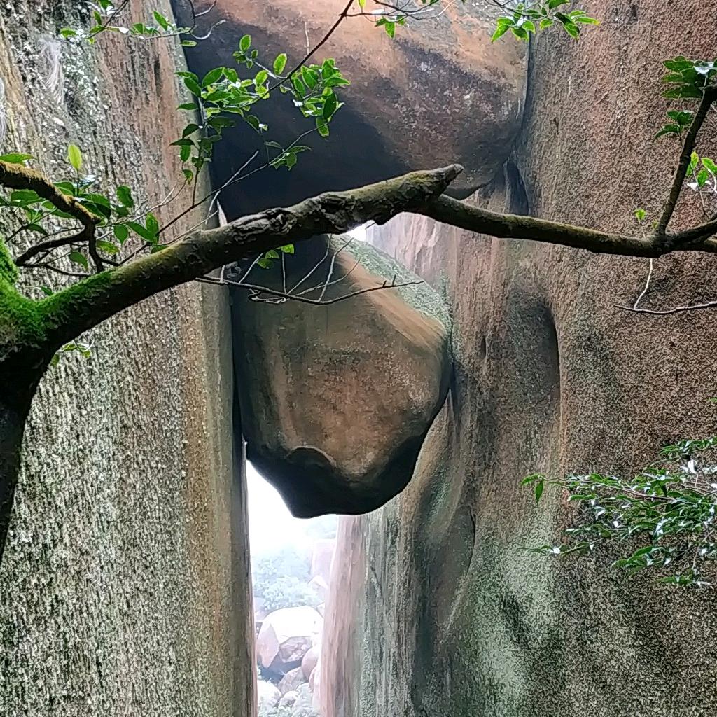 望星盼月