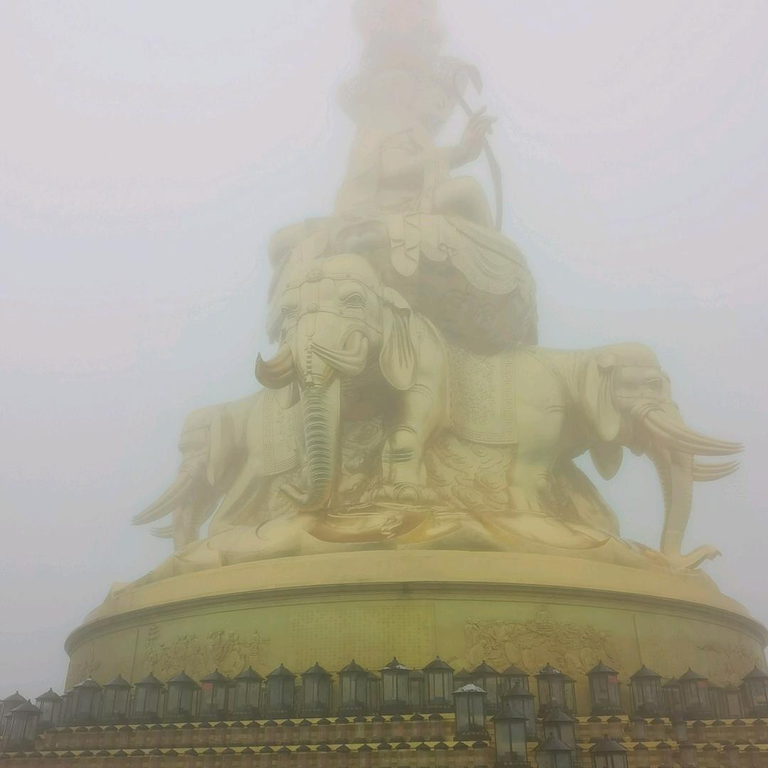 缘来缘去