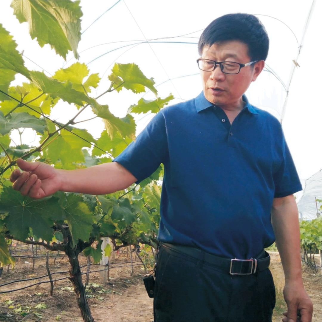 老张农业大讲堂