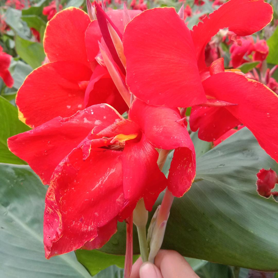 用户730815064一身相伴