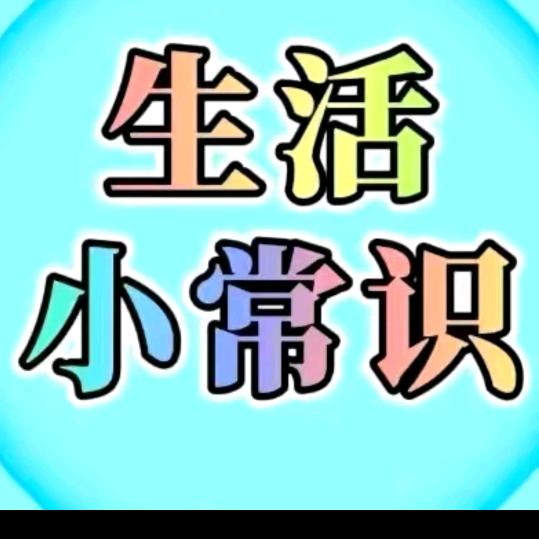 被子哥