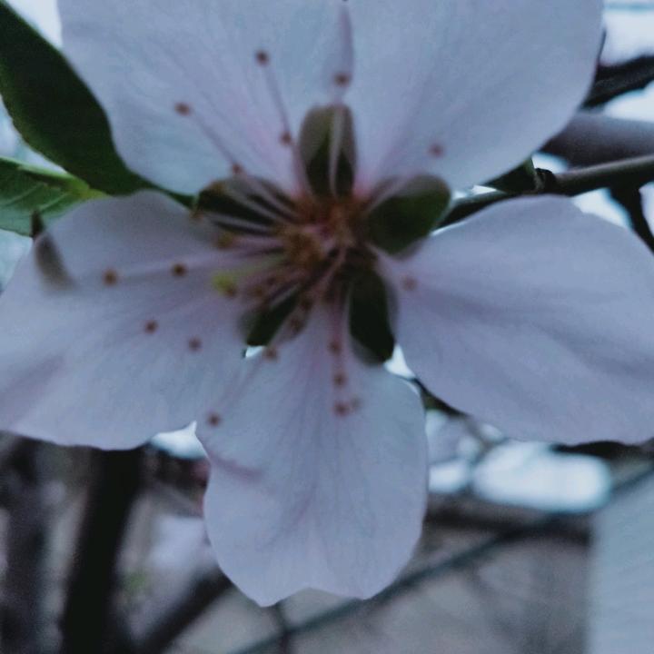 感觉