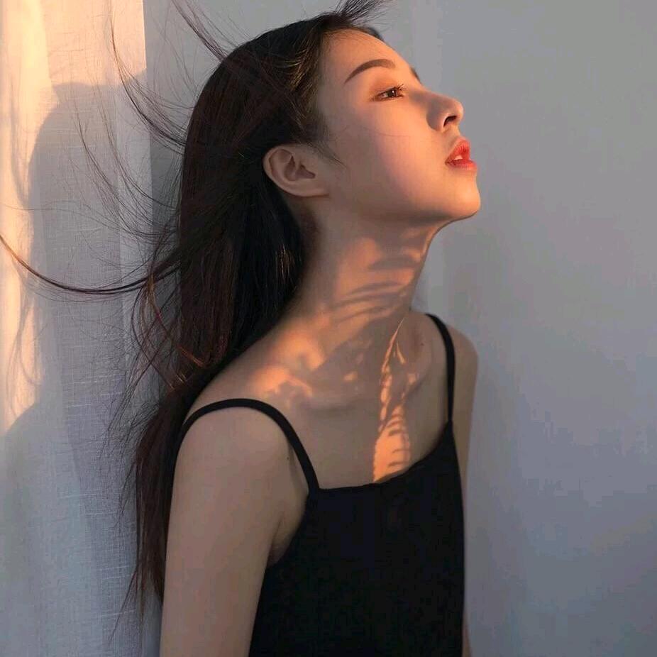 兔子🐰