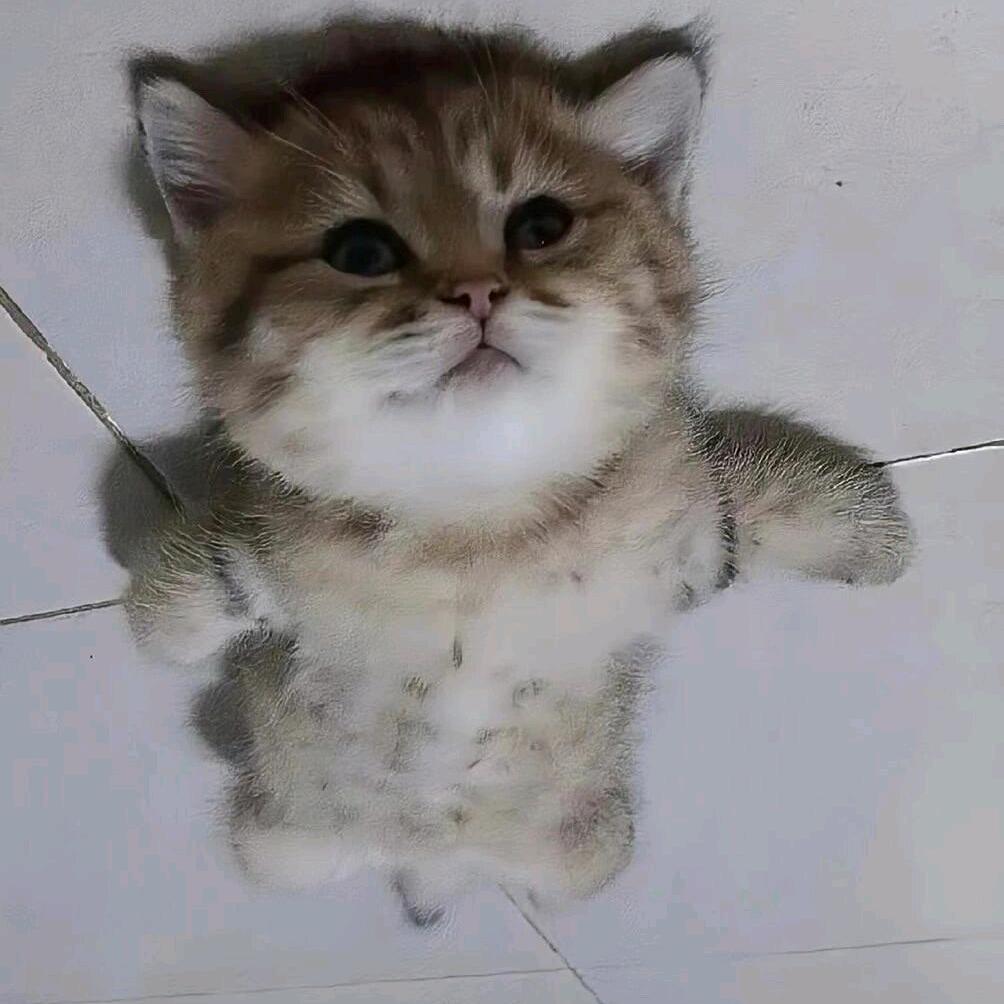 辰宝宝