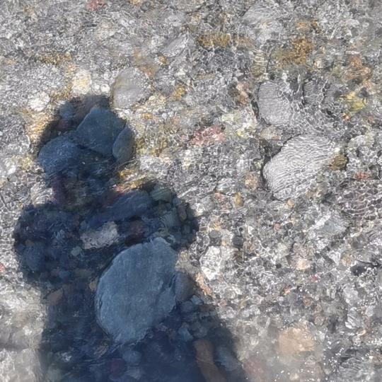 马虫虫