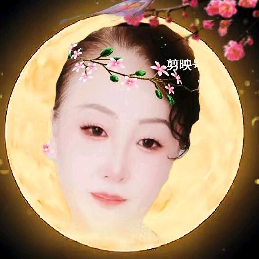 福宝呗
