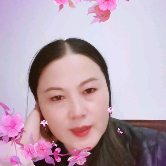 美美汽车年审