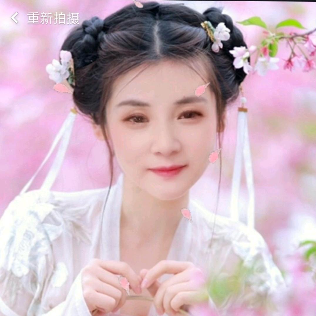 素锦