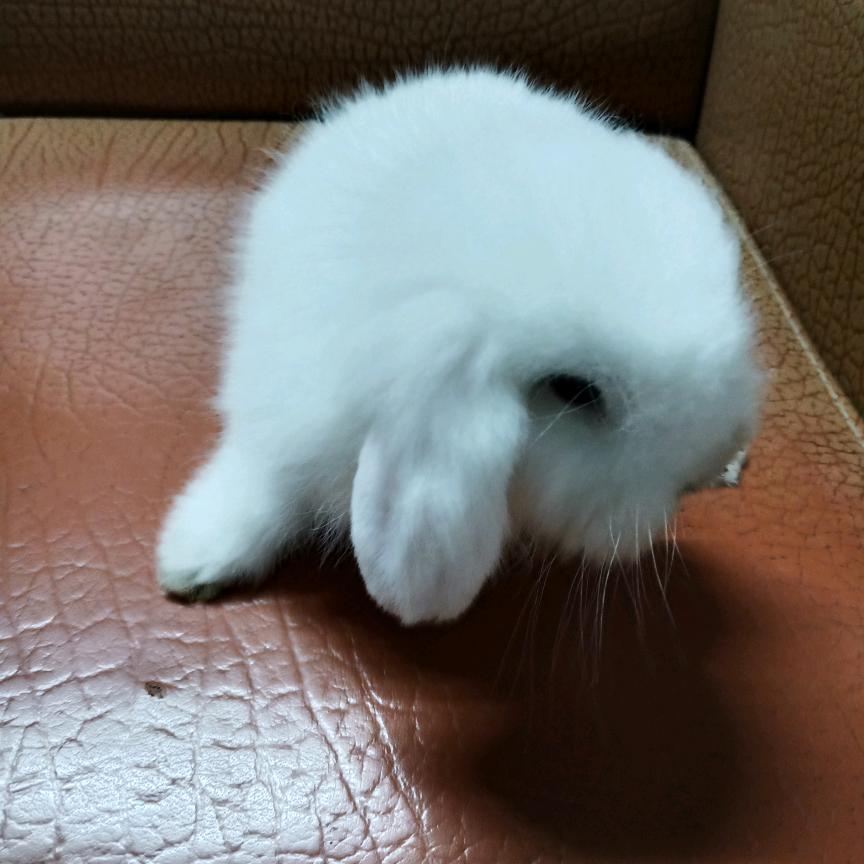 幸运♥