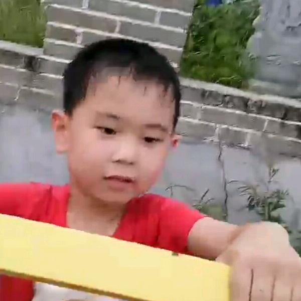 快乐的百铃鸟，美好生活触手可得。