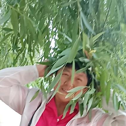 🍎雨过天晴🍎