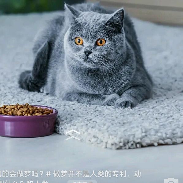 终不似，少年游