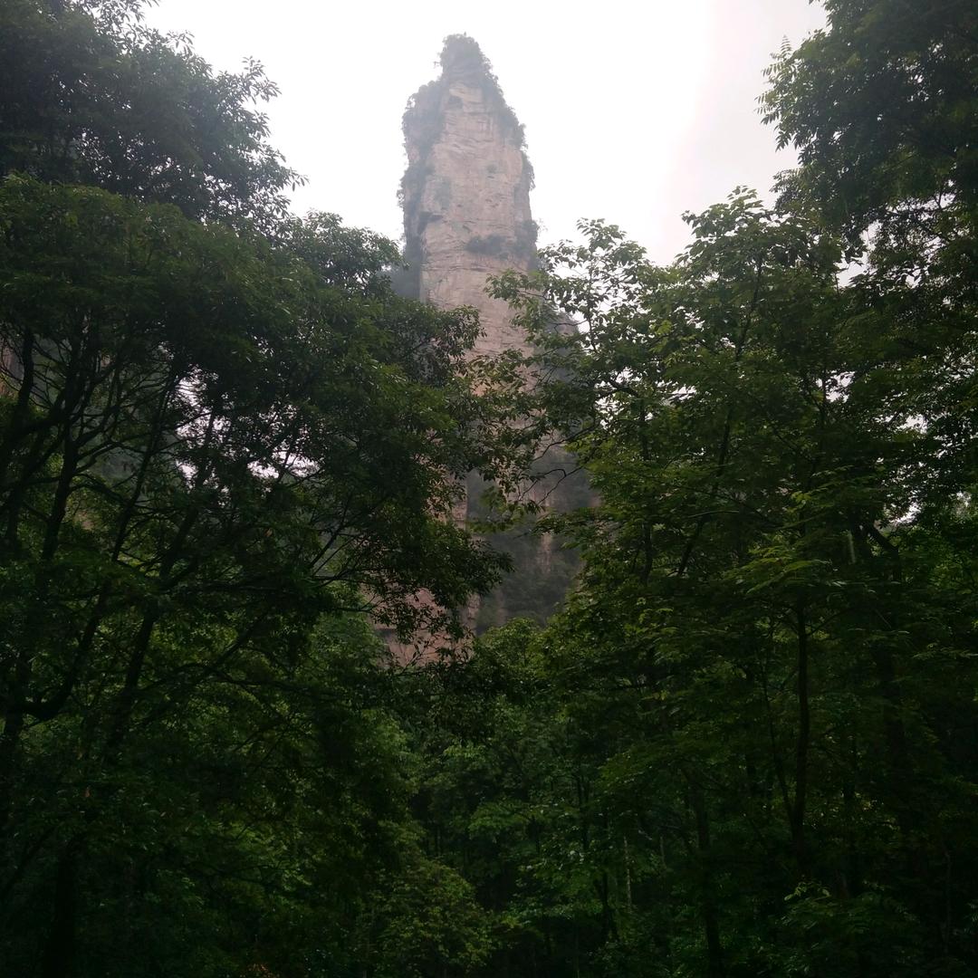 阿利