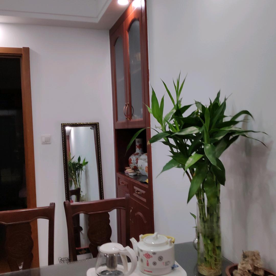 金萍