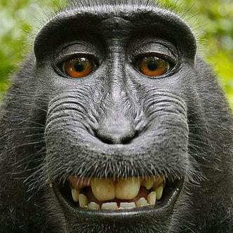 车之家维修养护中心