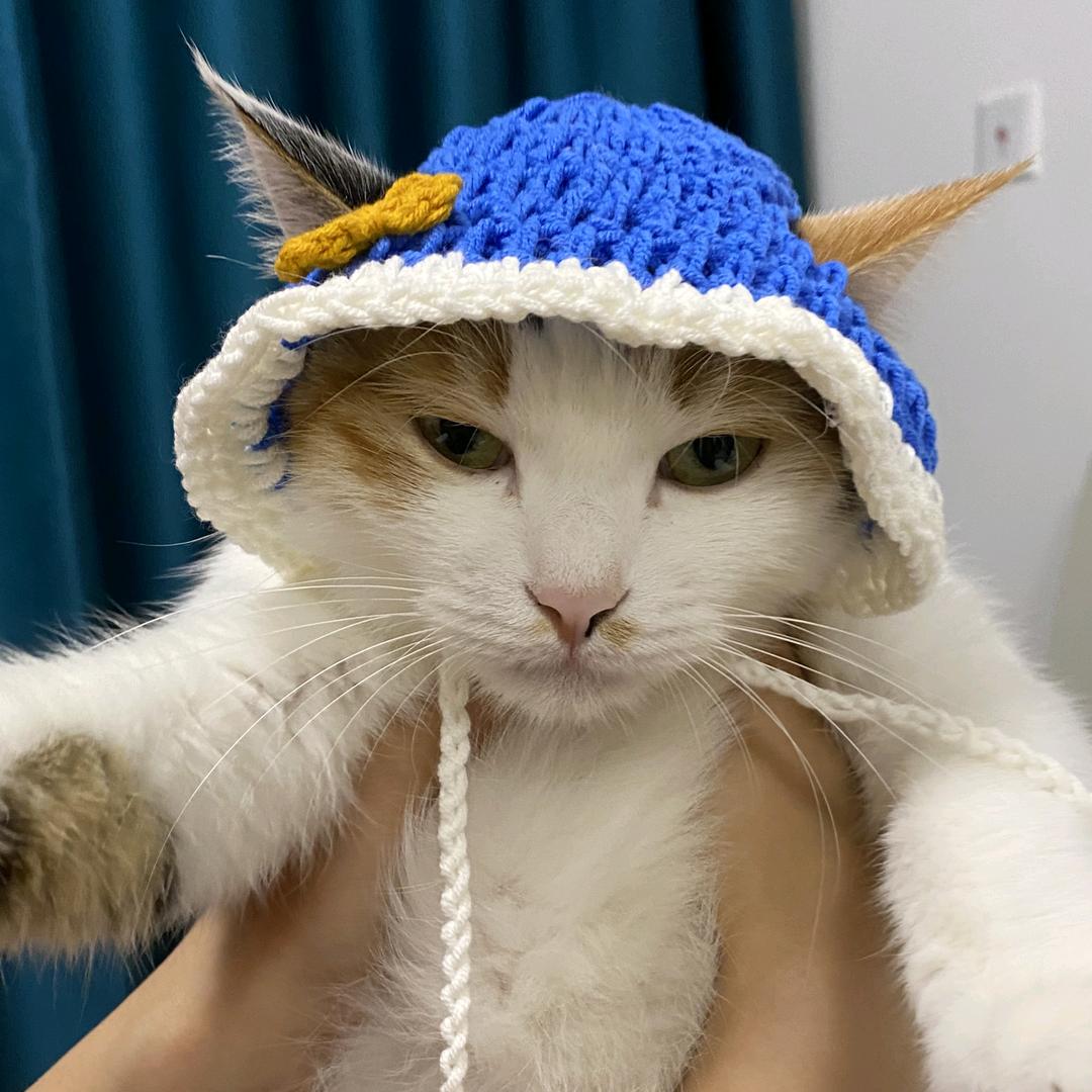 周+1
