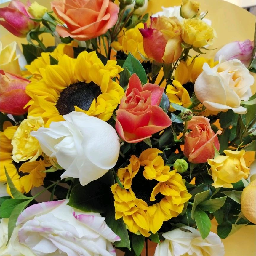 力姐（砥砺前行）