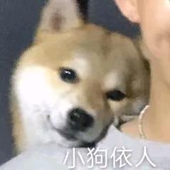 喵喵叫的傻二哈🌈