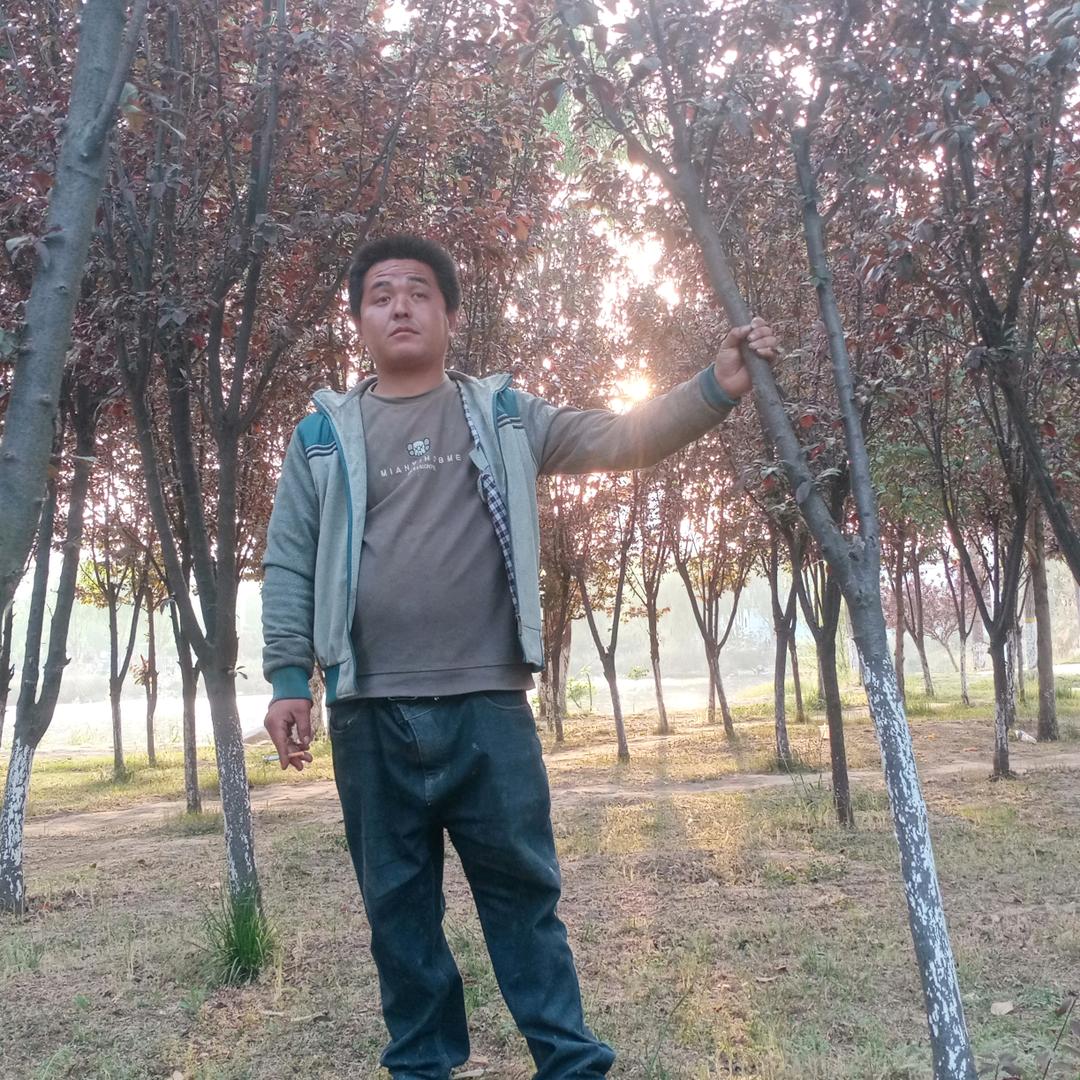 专业铲顶，砸墙，上料，