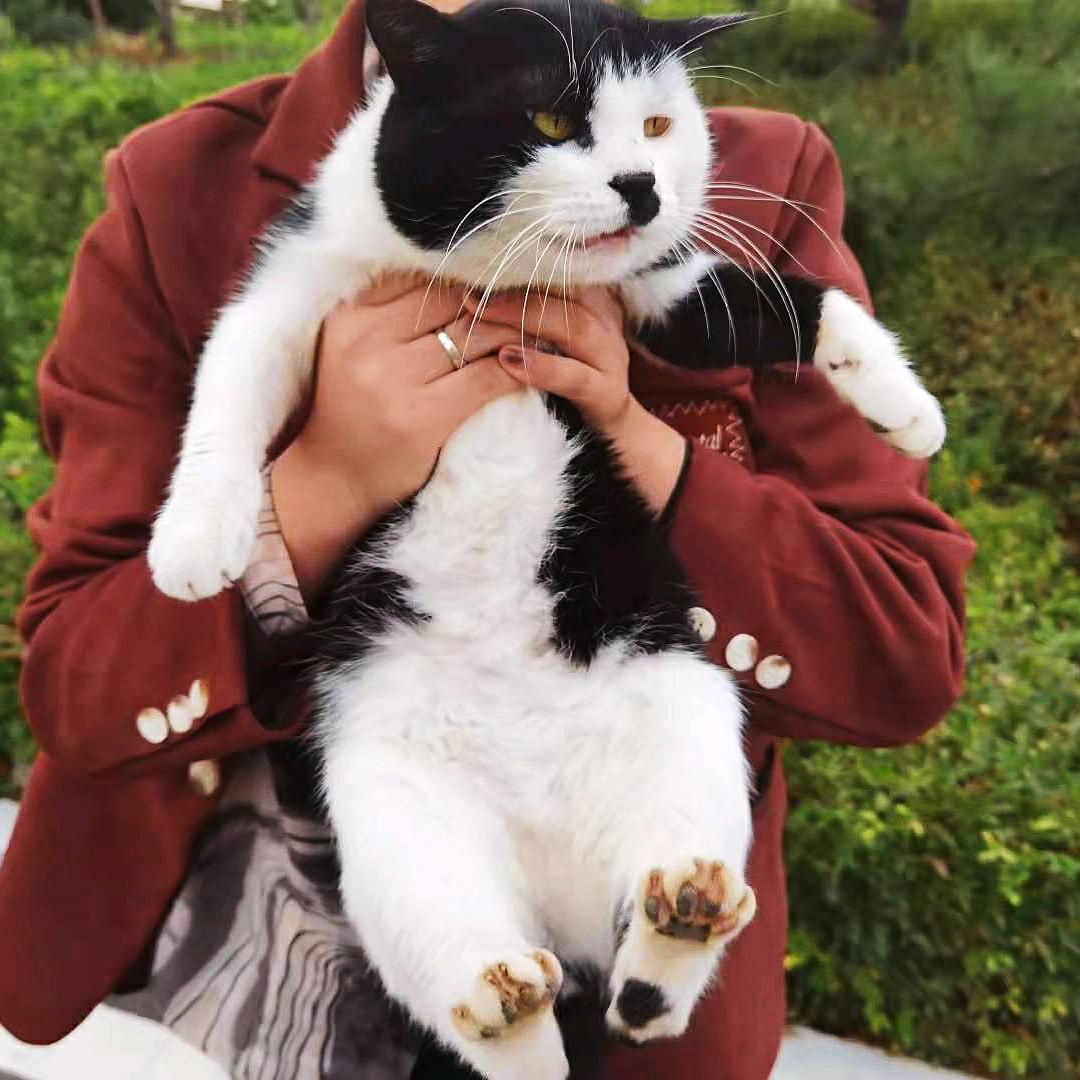 寻喵纪