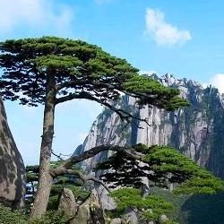 幸福生活