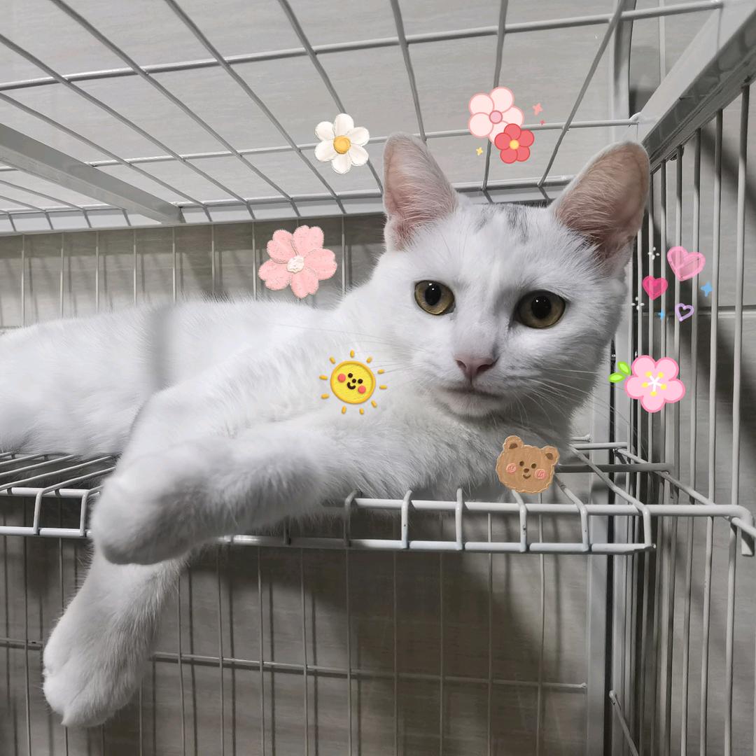 选一个选一