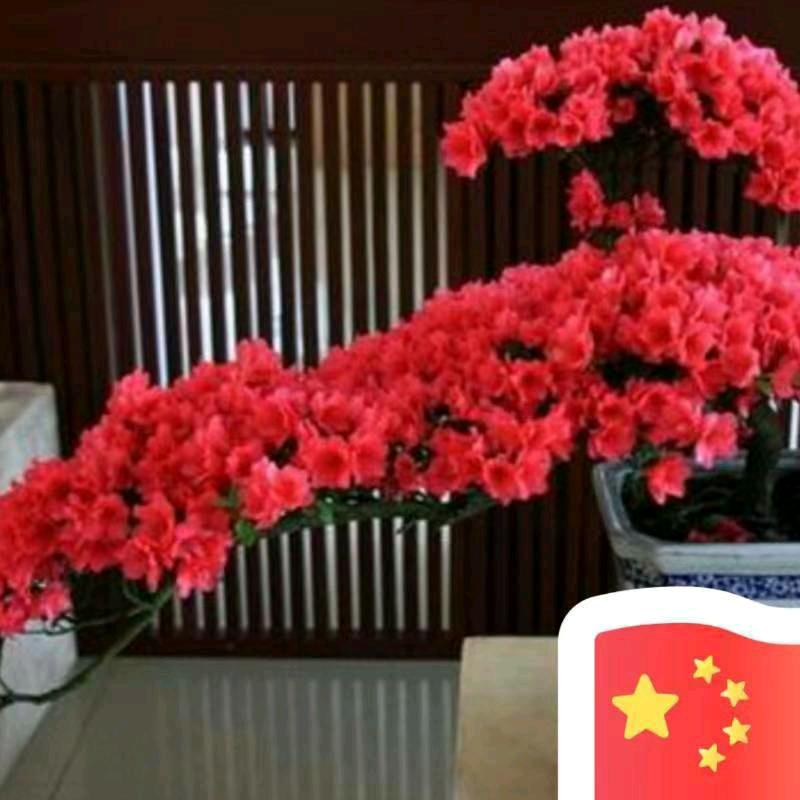 纪先生