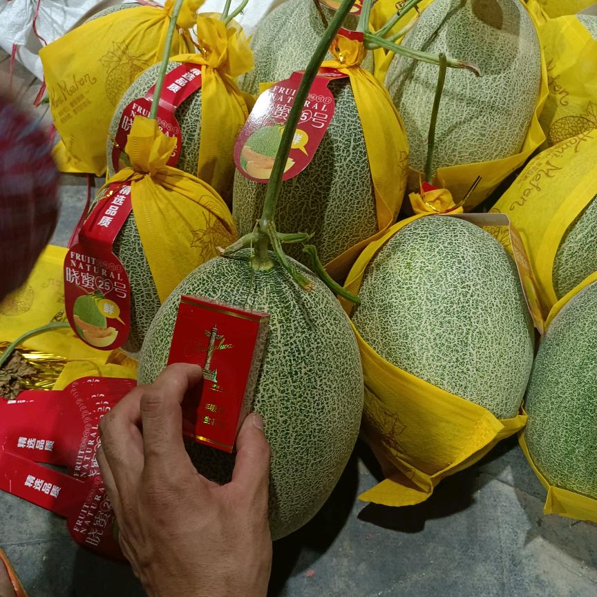 涛涛果品