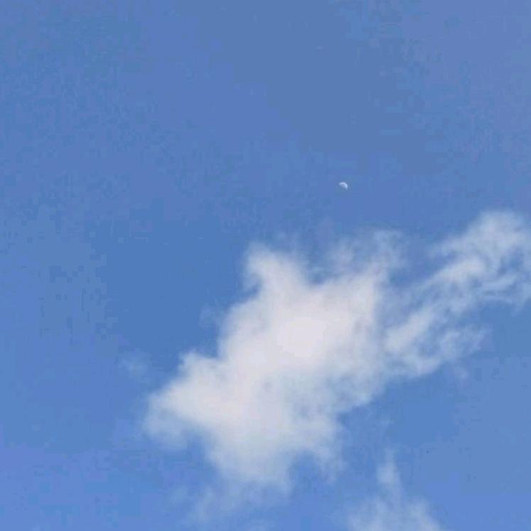 能开二月花
