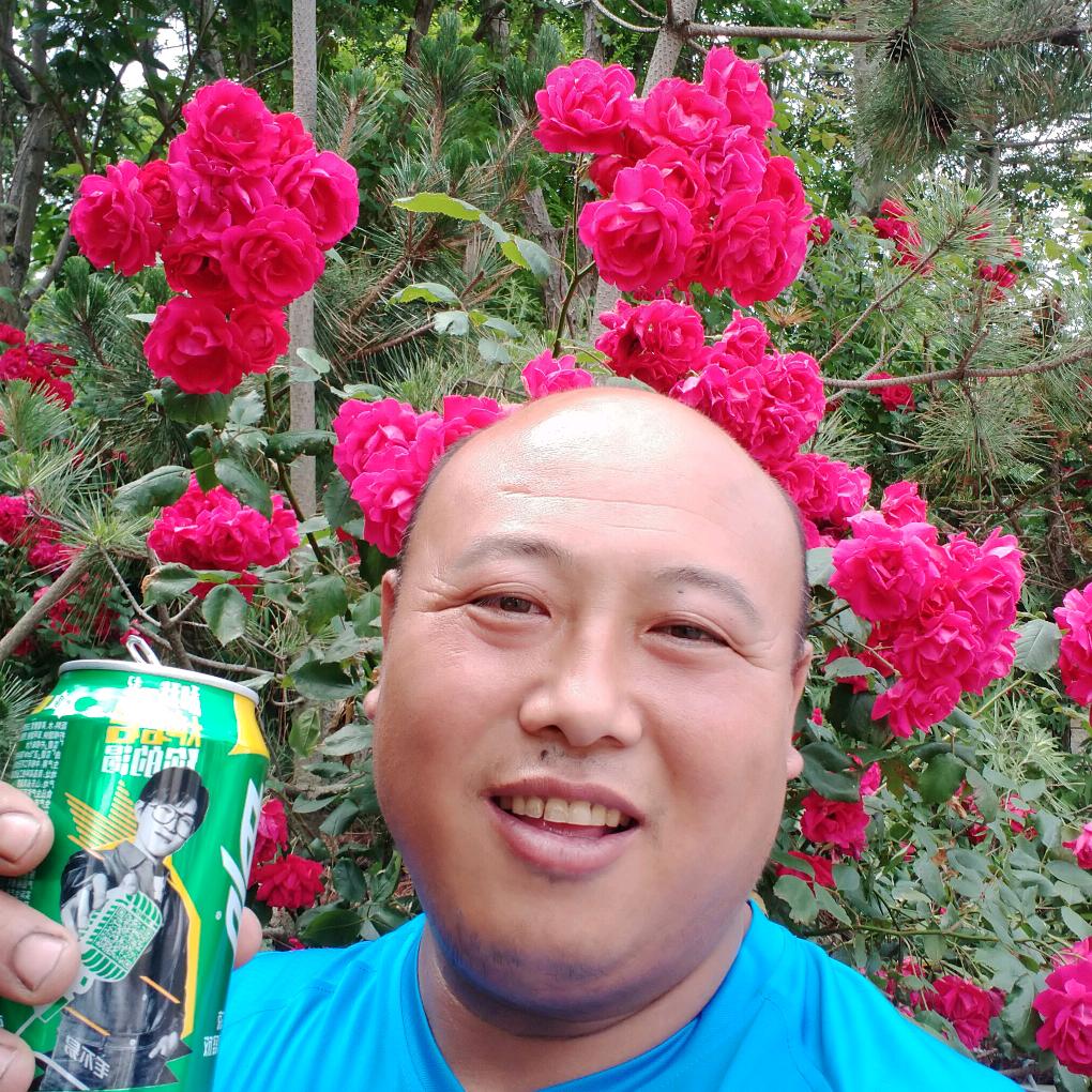 大宝