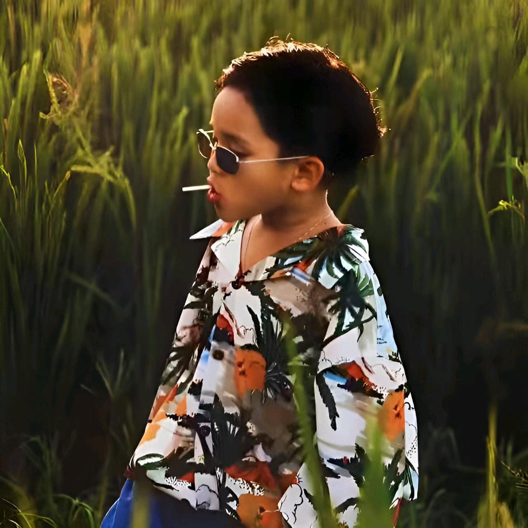 给你九朵玫瑰花