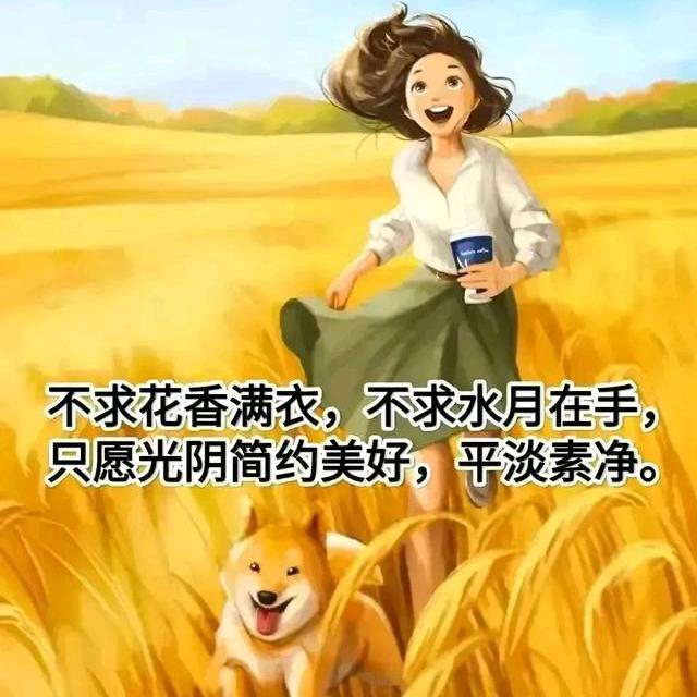 田妹崽