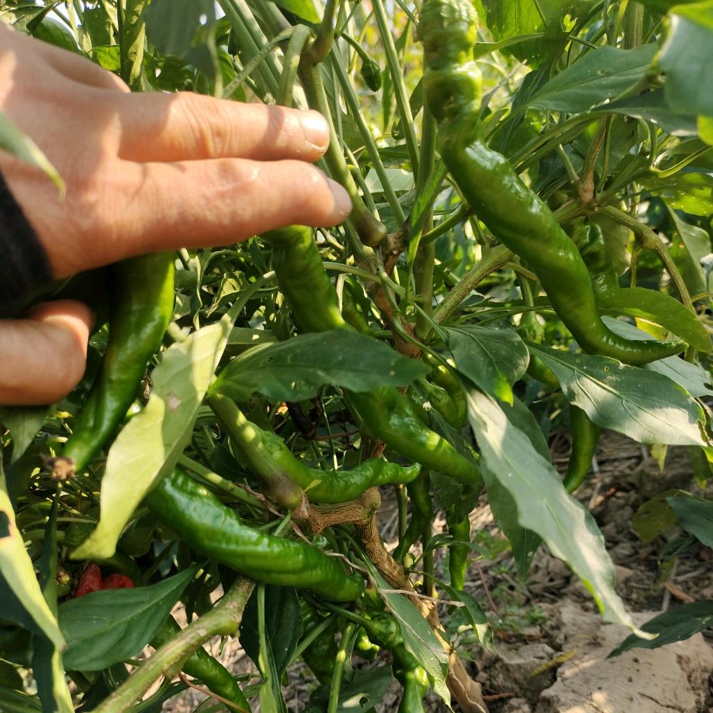 🚬ℒᎭℯ烈酒ꦽོ敬过往💔༄꫟