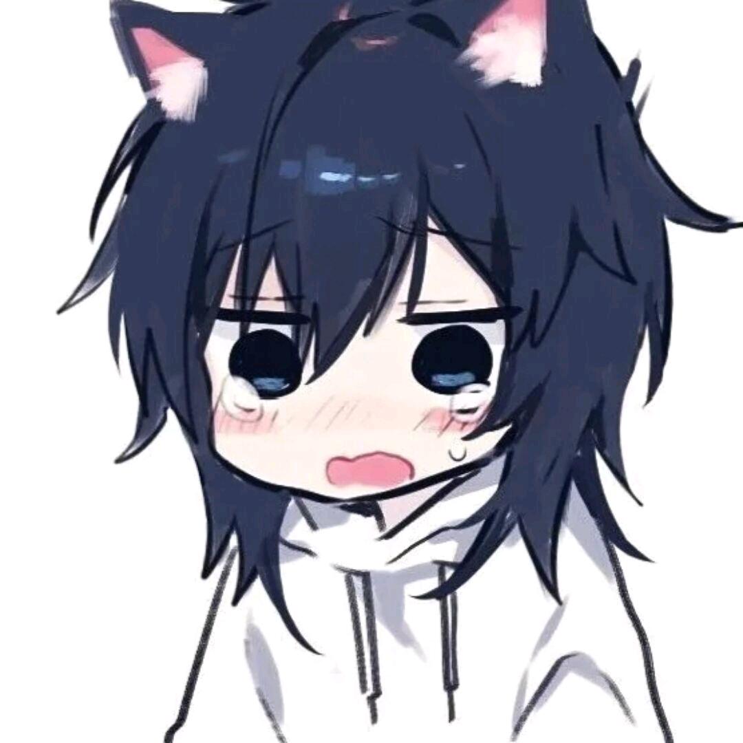 Hanᴗo·ᰔᩚ，❤️❤️，