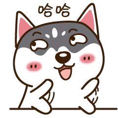 喝可乐不打葛女士