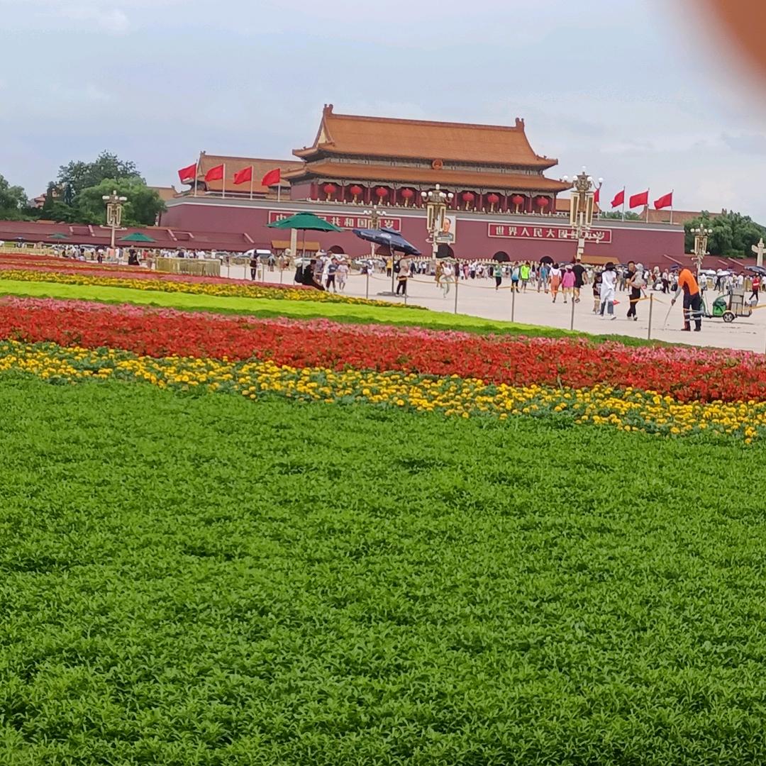 平安是福🌹