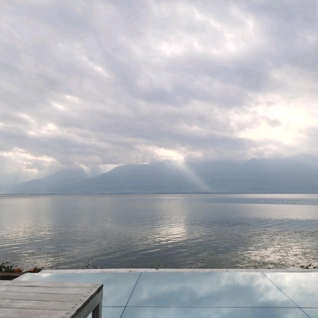 正在输入。。。