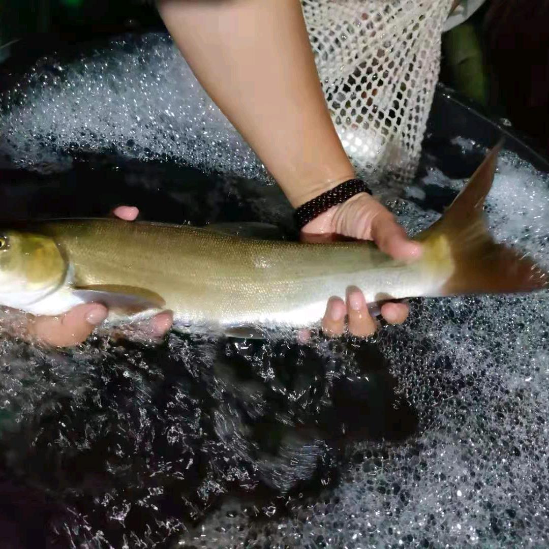 昭通子浩水产养殖销售