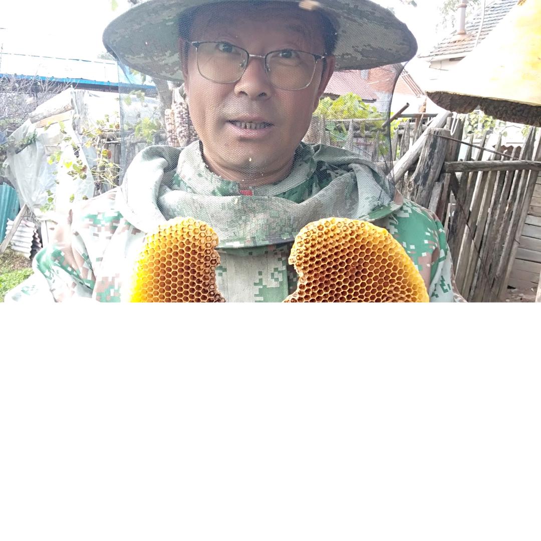 老孙头养蜂场（开平纯山蜂蜜）