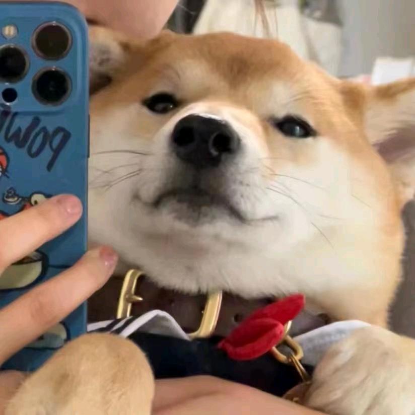 汽水