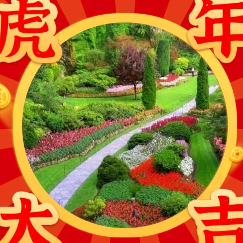 幸运zjw