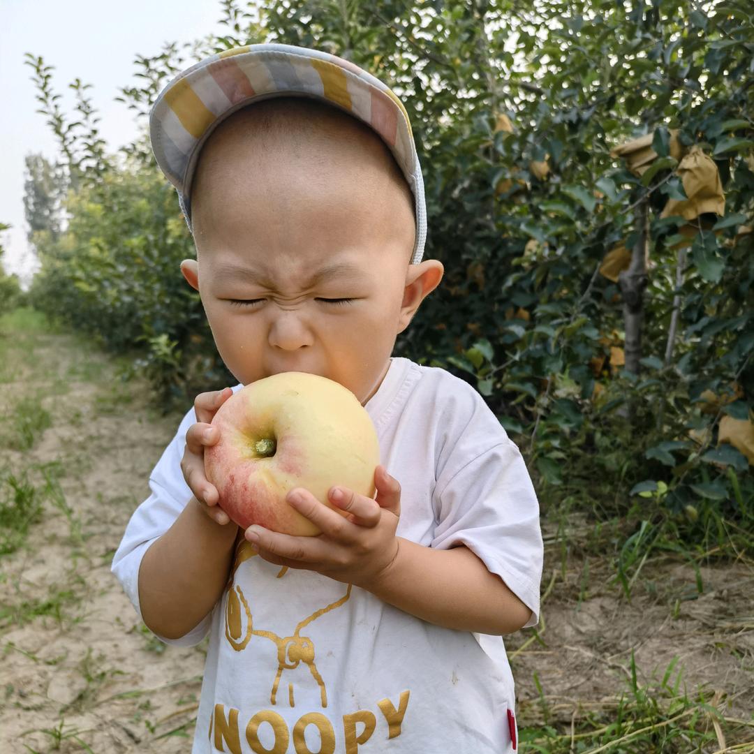 小马在长大
