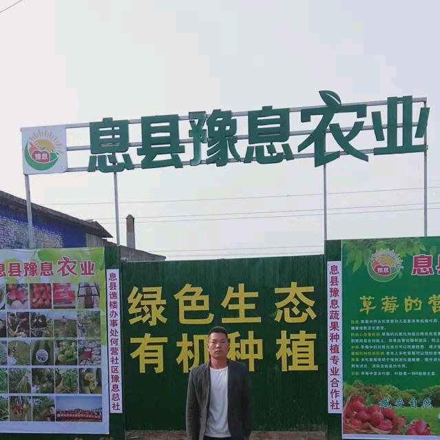 谱写 命运的农夫