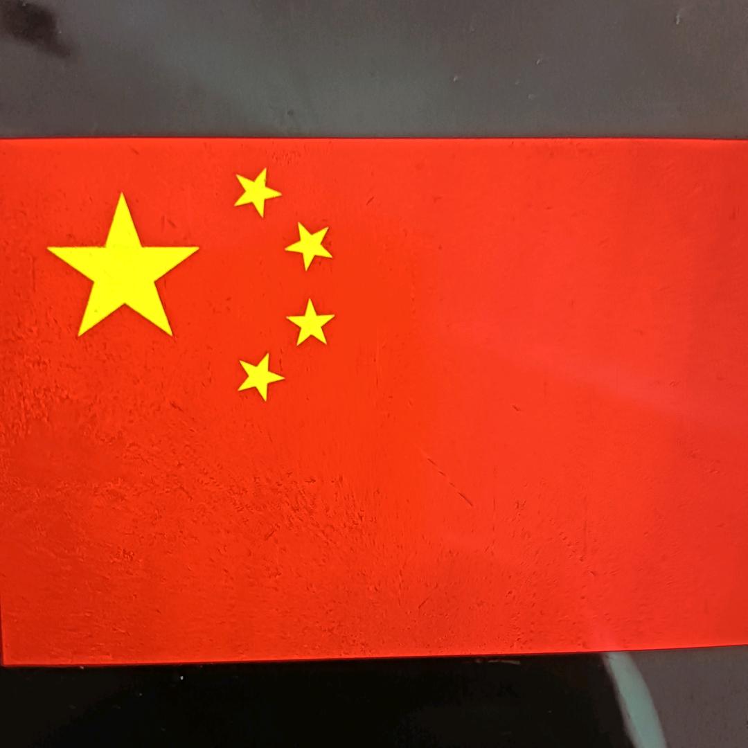 长青树