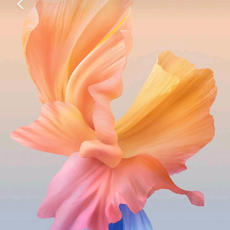 清静