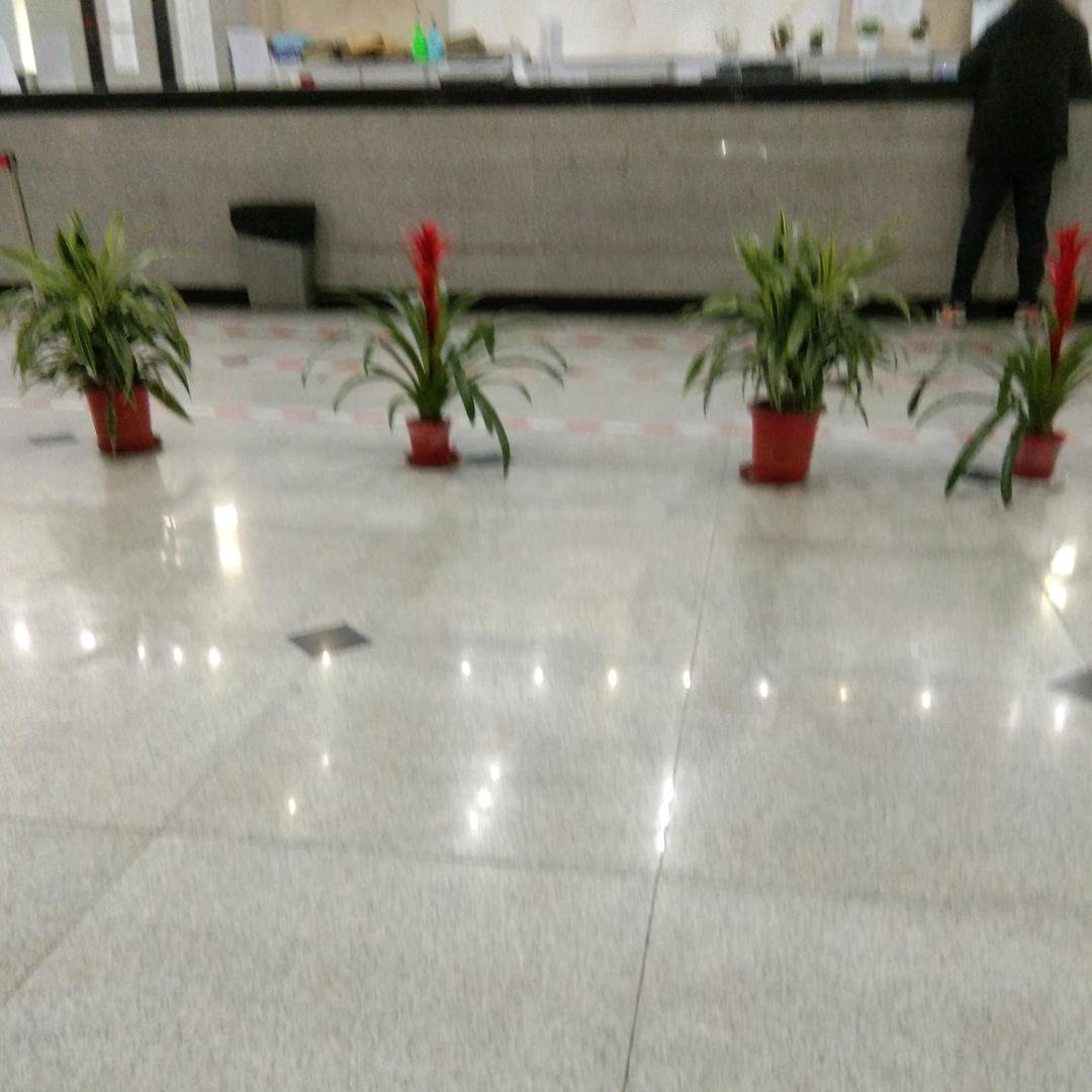 黑夜之天